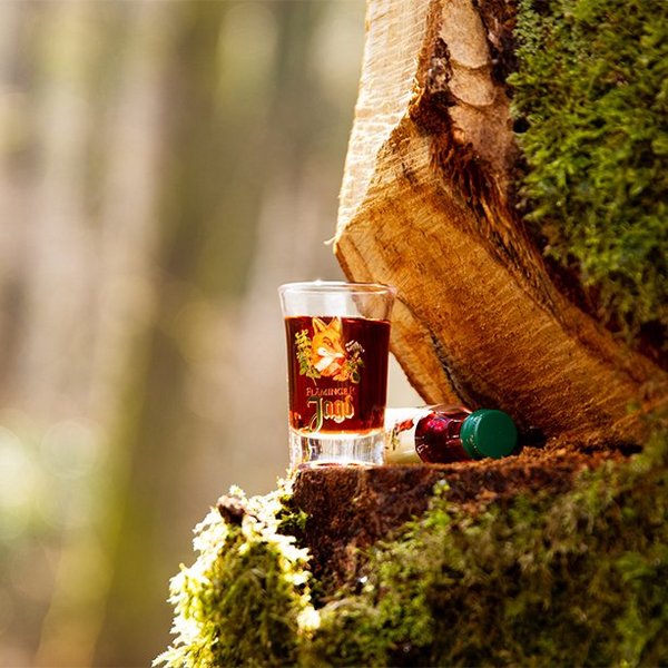 Das Bild zeigt ein gefülltes Schnappspinnchen auf einem Baumstamm