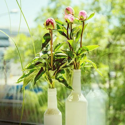 Auf dem Bild sind zwei weiße Vasen mit Blumen vor einem Fenster zu sehen